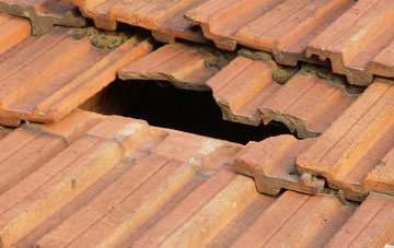roof repair Welborne, Norfolk